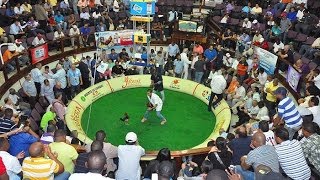 COLISEO GALLISTICO DE SANTO DOMINGO. 1-4