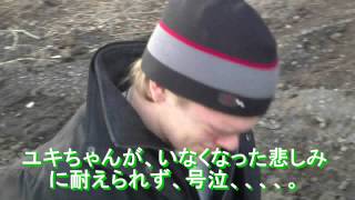 嵐コント出演記念　LIFE！紅白歌合戦 大集合スペシャル　アメリカンアイドル　ユキちゃん復活！by 猫ネコぼーん！