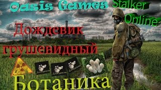 Stalker Online Дождевик грушевидный