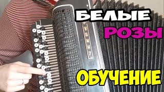 Как играть Белые Розы разбор песни на баяне Шатунов