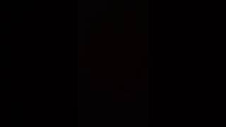 "Bureaucratic Masturbation" Rap (subtitles available) cat: music