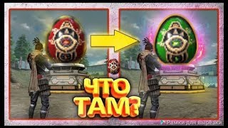 Где найти зелёные яйца ? Расписание событий FREE FIRE