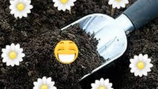 Как обработать землю перед посадкой семян !