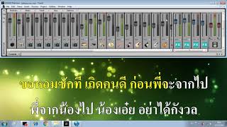เมดเล่ย์ สามช่า รำวงย้อนยุค ชมทุ่ง ทำบุญร่วมชาติ หยิกแก้มหยอก
