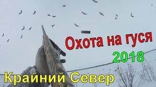 ОХОТА НА ГУСЯ 2018  День заезда.Крайний Север НАО