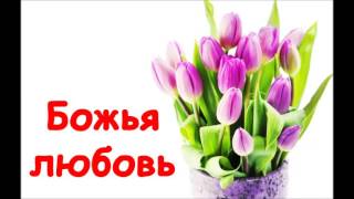 Божья любовь | МХО МСЦ ЕХБ