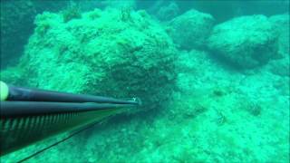 Pescasub: Weekend di pesca a Ponza