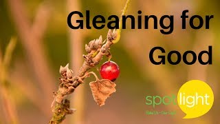 "Gleaning for Good" - practice English with Spotlight