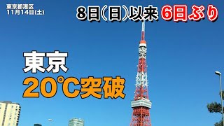 東京は6日ぶり20℃を観測