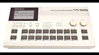 Roland TR 505 Drum Machine