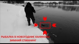 Новогодний клев щуки. Зимний спиннинг в Бронницах.