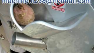 FRUIT CUTTING MACHINE，Vegetable Cutter for Roots，Ridish cutting machine