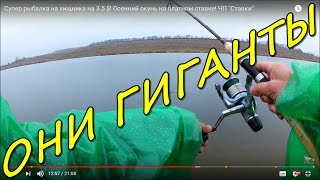 РЫБАЛКА НА ОГРОМНЫХ ОКУНЕЙ! ЗАПОРОЖЬЕ - ДНЕПРОПЕТРОВСК, платник!