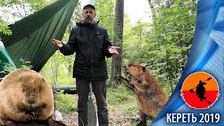 #12 Бобры диверсанты | Порог Кривой | Холодная Кереть 2019