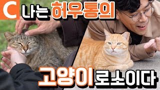 고양이가 살린 탄광 마을! 귀여운 게 최고 '대만 허우통 고양이 마을'