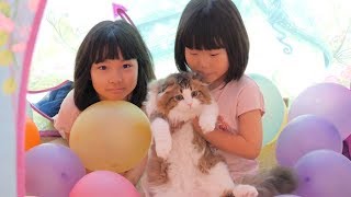 猫と風船のお家で家族ごっこをしたら家を破壊する猫お父さんが生まれましたw