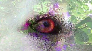 LOKAH SAMASTAH · by AGNYA · Demo (Full-Version 10:18 Min.)