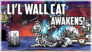 The Battle Cats | Li'l Tank (Wall) Cat Awakens! Tiny Will!