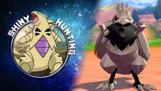 Corvaillus SHINY (Corviknight) live reaction ! - Shiny Living Dex Quest | Pokemon Épée Bouclier