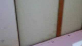 飛田新地の部屋
