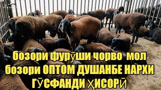 оптом бозори душанбе нархи арзон гусфанди хисори не пропустите ✔️??