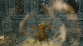 Dark Souls 2 - How to Obtain Dragon torso Stone ( Join in the Dragon covenant )