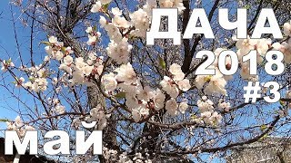 ДАЧА 2018 | Как выглядит наша дача в начале мая | май #3