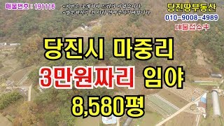 [당진땅/당진토지,공장매매]마중리 평당3만원짜리 임야! 8580평 급매
