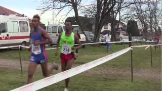 Campaccio Allievi-Juniores 2013