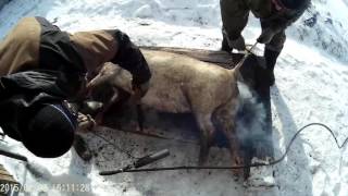 Палим свинью по-деревенски \\ В деревню!