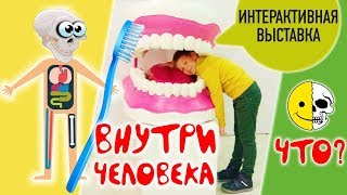 Выставка ВНУТРИ ЧЕЛОВЕКА для детей Самое интересное Макет тела МОЗГ Сердце Глаз Легкие! Макс и Класс