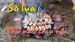 Sò Lụa Nướng Mỡ Hành Chấm Muối Ớt Chanh | Hải Sản Trà Vinh