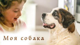 Моя собака - песня про собаку - клип 2019 песни для детей Наталия Лансере
