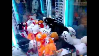 Magicland - синий енот и спасение рядового котика