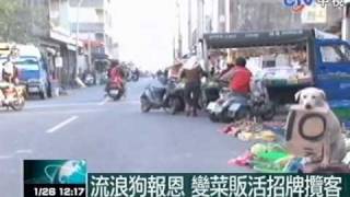 流浪狗報恩 變菜販活招牌攬客