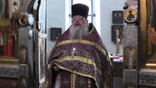 Проповедь о блудном сыне. о.Сергий Правдолюбов
