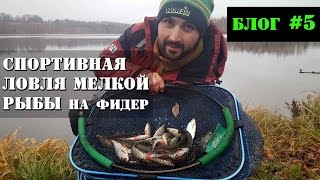Озерная ловля плотвы и окуня на фидер в ноябре. Рыбалка с Олегом Квициния : Vlog #5