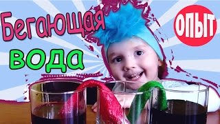 Опыты для детей БЕГАЮЩАЯ ВОДА Эксперименты дома  Детские опыты с водой  в домашних условиях