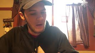 Nike SB Gato Shoe Review (Skateboarding) New Video *2018