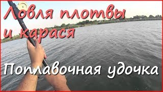 Рыбалка на реке летом. Поплавочная рыбалка. Плотва и карась.