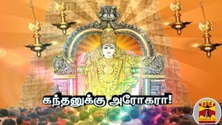 "தைப்பூச திருவிழா கோலாகலம்  :  பக்தி முழக்கத்துடன் பக்தர்கள் பரவசம்"