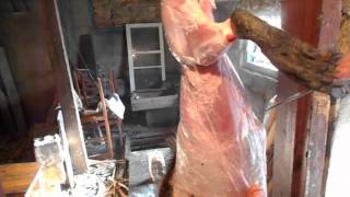 Забой Нутрий.Slaughter of nutria.