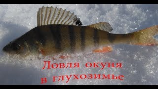 Ловля окуня в глухозимье 2018.  Ловля окуня в феврале.