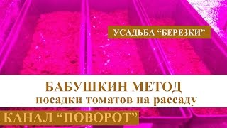 Расада томатов без пикировки. Часть 1. Посадка