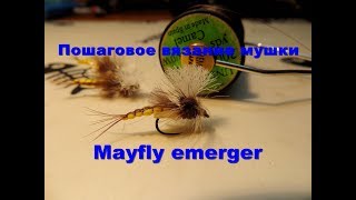 Нахлыстовая Мушка -  Mayfly Emerger. Вяжем вместе!