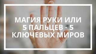 Савва Барс. Часть   вводного занятия "Магия Руки или 5 пальцев - 5 ключевых миров"