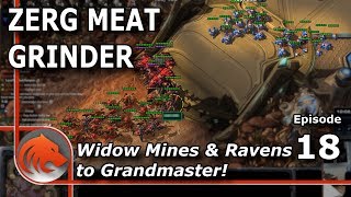 StarCraft 2: Zerg Walking Into the Death Mine Squad!