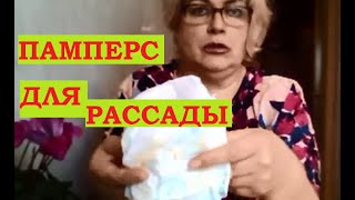 Рассада и весь огород в памперсах!