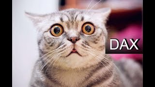 Dax Analyse 06.01.2020