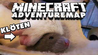 Brammens Ratten auf der Gay Parade ? MC Adventure Map Parkour Paradise #3